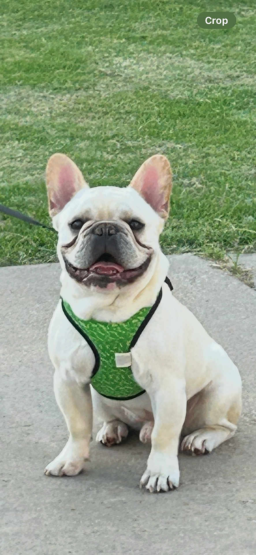 Winston