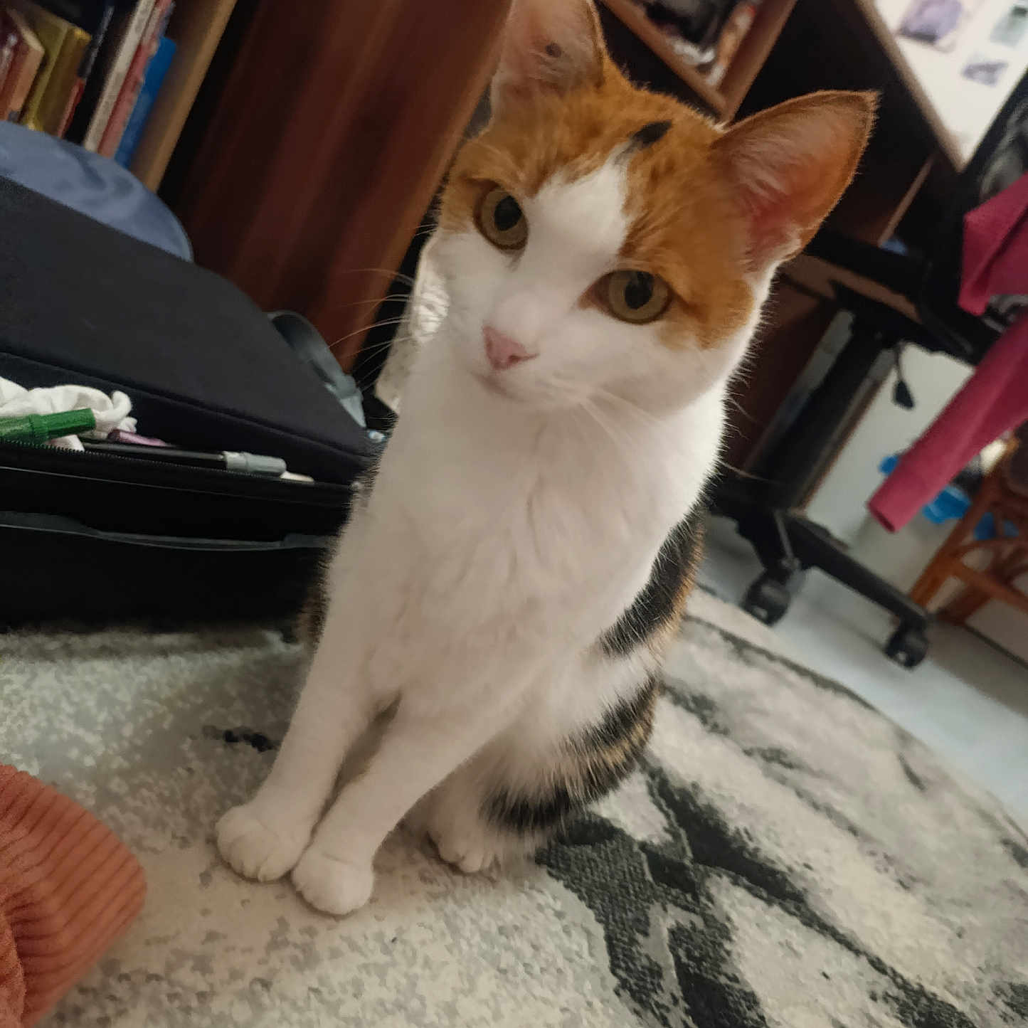 Niki
