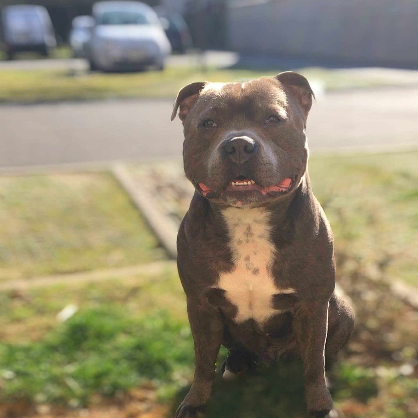 Léon