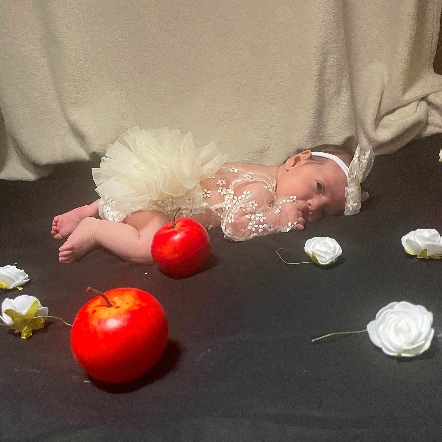 Baylor participe au concours pour gagner de l'argent avec cette photo : adorable, apples, baby, black_background, cute, decor, floral, flowers, headband, indoor, infant, lace, lying_down, newborn, portrait, red_apples, soft_lighting, toddler, tutu, white_flowers