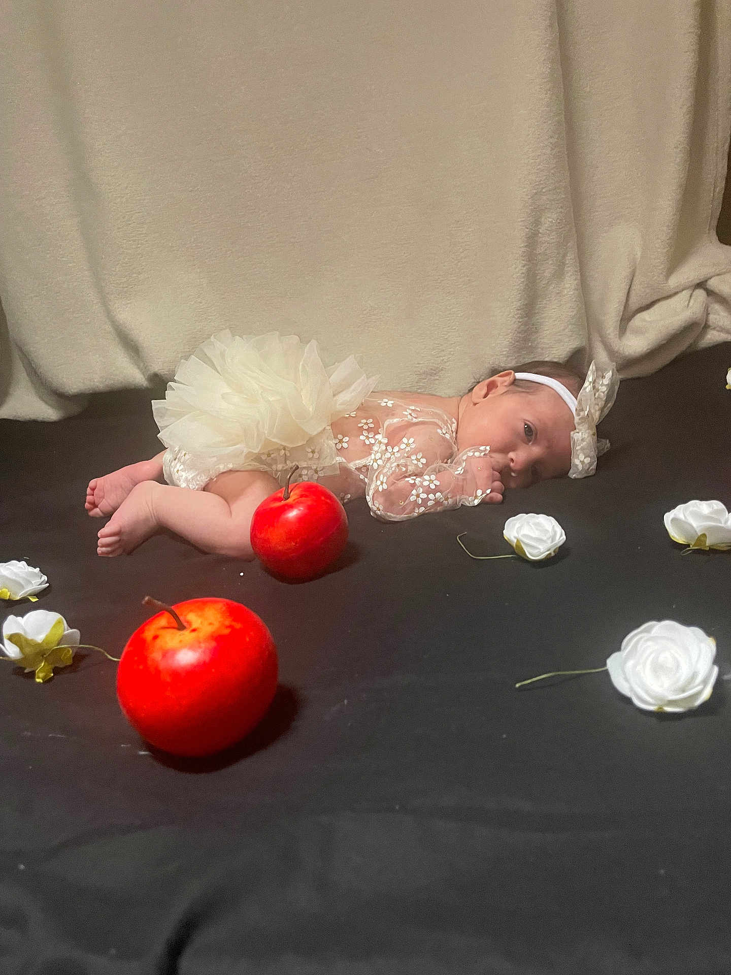 Baylor participe au concours pour gagner de l'argent avec cette photo : baby, infant, tutu, headband, apples, flowers, floral, lace, cute, lying_down, black_background, white_flowers, red_apples, decor, newborn, portrait, soft_lighting, indoor, toddler, adorable