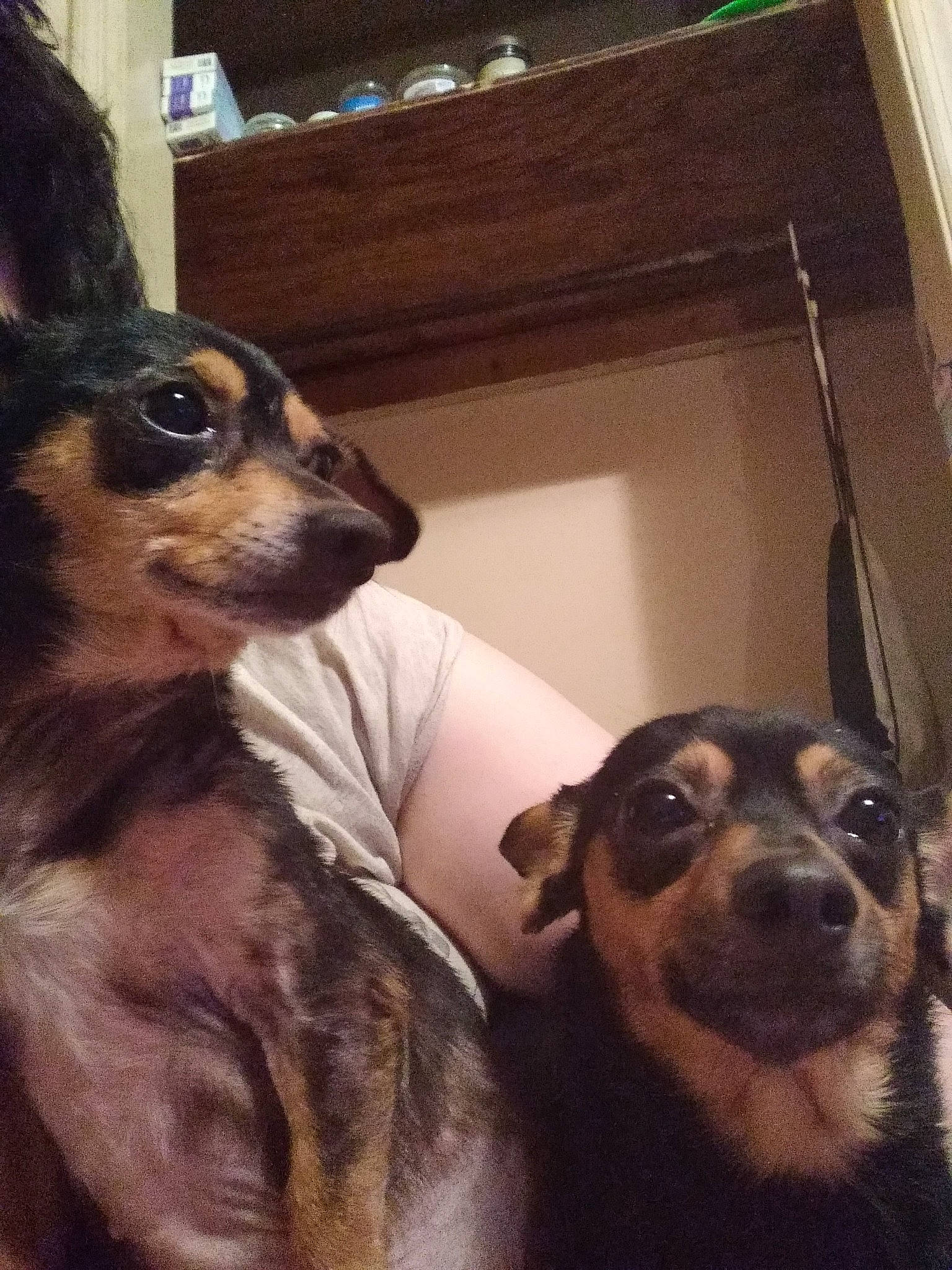 Baby Rosie And Ladybug