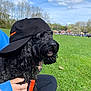 dog, black_dog, park, grass, cap, hat, leash, hand, person, outdoor, sky, trees, green, pet, close_up, collar, tongue, curly_fur, sitting, casual_clothing