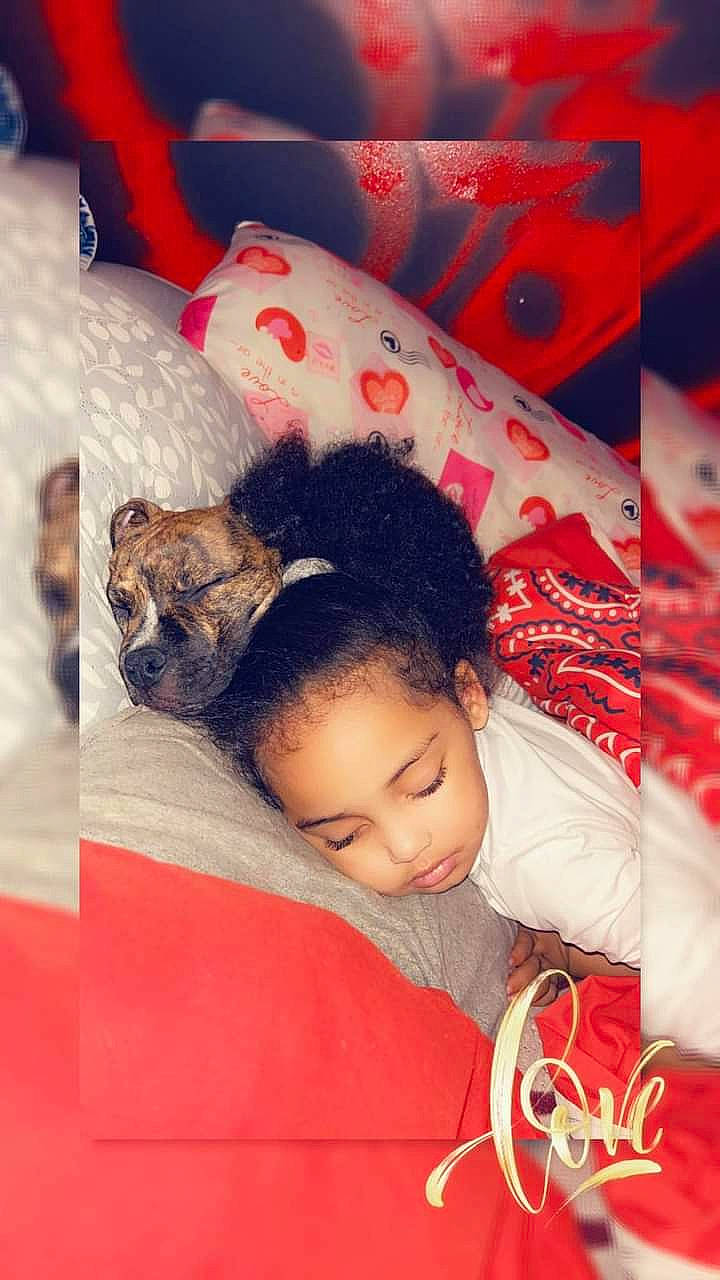 Kataleya is registered to the contest to win money with this photo: carmine, cat, child, christmas, event, felidae, fun, fur, happy, holiday, linens, pattern, person, red, room, skin, snapshot, textile, toddler, tradition