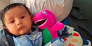 Victor is registered to the contest to win money with this photo: baby, infant, plush_toy, dinosaur, blanket, baby_seat, hopscotch, pillow, blue_clothing, indoors, child, face, cute, resting, soft_toy, colorful, comfort, young_child, portrait, cozy