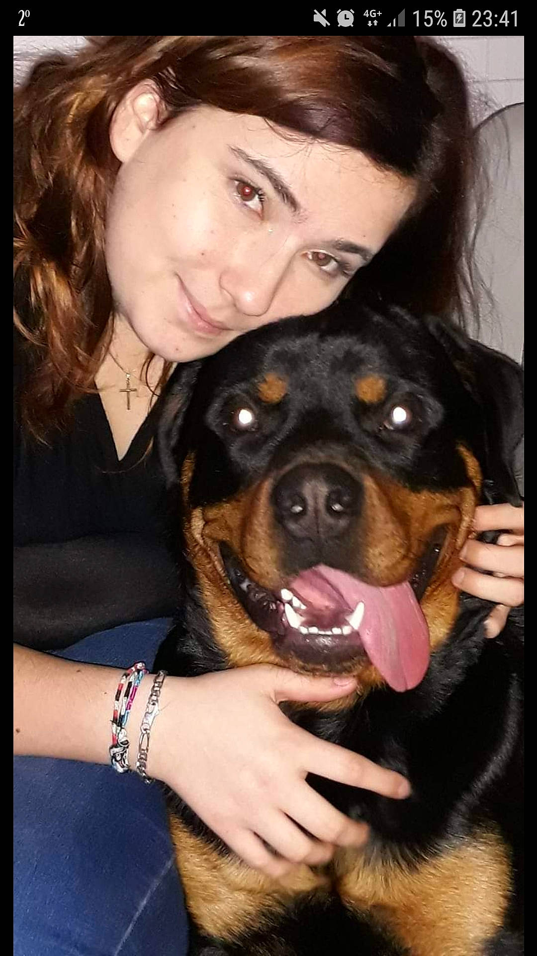 Palcko participe au concours pour gagner de l'argent avec cette photo : canidae, carnivore, companion_dog, dog, dog_breed, fawn, mammal, miniature_pinscher, puppy, puppy_love, rare_breed_dog, rottweiler, smile, snout, sporting_group, vertebrate, working_dog