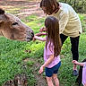 Riverlynn joined the competition — help win amazing prizes! child, adult, animal, feeding, fence, grass, trees, forest, outdoor, nature, person, greenery, summer, casual_clothing, pink_shirt, blue_shorts, interaction, petting, gentle_animal, daylight