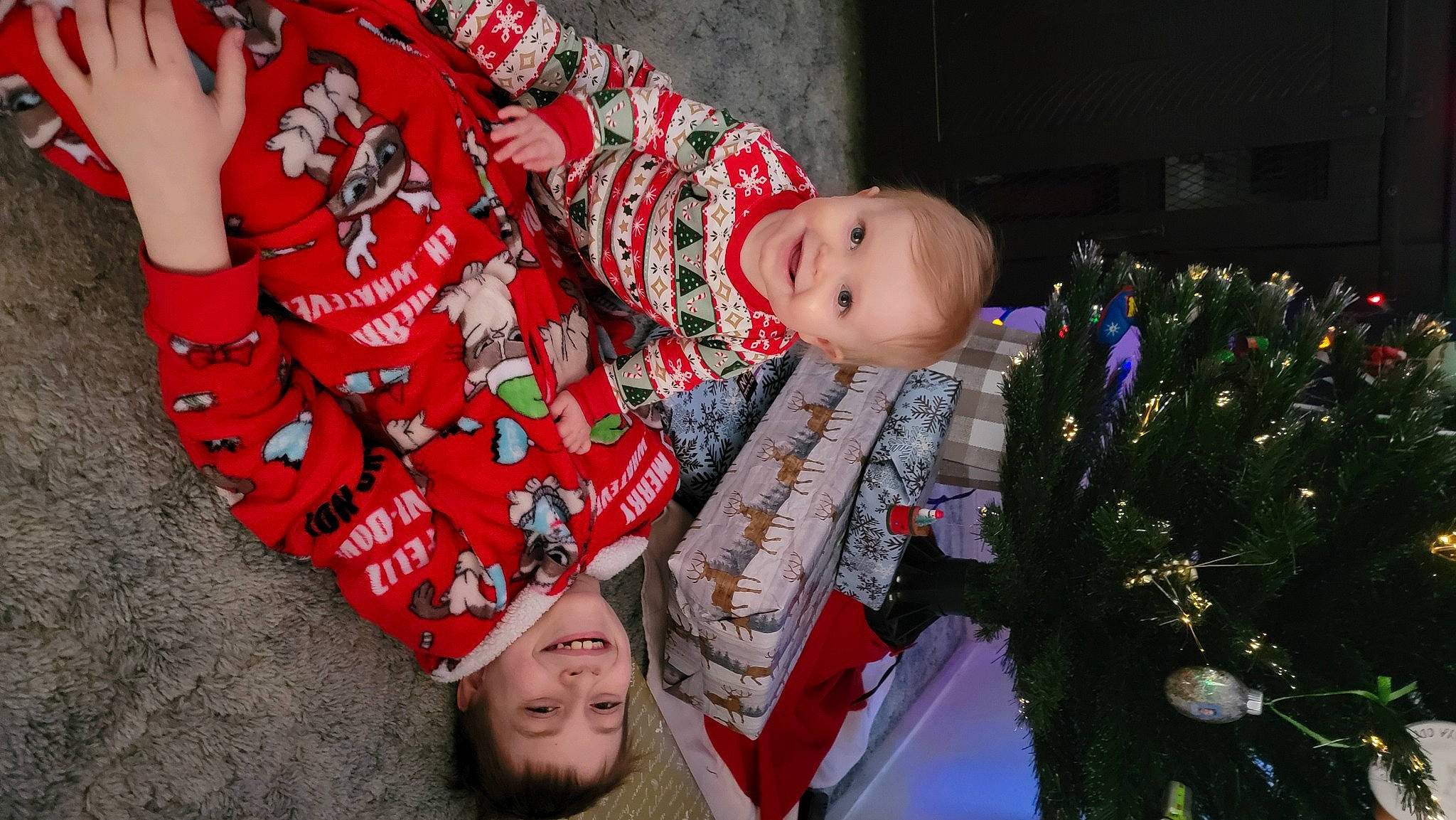 Bentley is registered to the contest to win money with this photo: child, christmas_ornament, christmas_tree, event, face, facial_expression, fun, happy, holiday_ornament, joy, lap, leaf, organ, people, person, photograph, plant, red, smile, snapshot