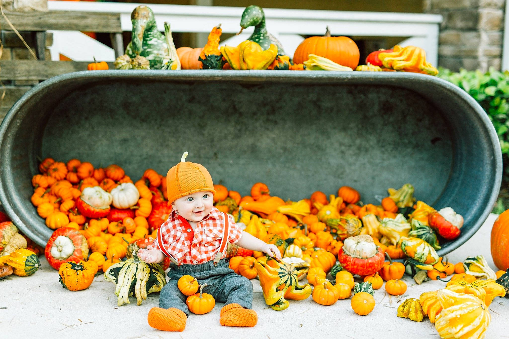 Bryden joined the competition — help win amazing prizes! calabaza, cucurbita, food, fruit, gourd, joy, local_food, natural_foods, orange, person, plant, produce, pumpkin, squash, vegan_nutrition, vegetable, vegetarian_food, whole_food, winter_squash