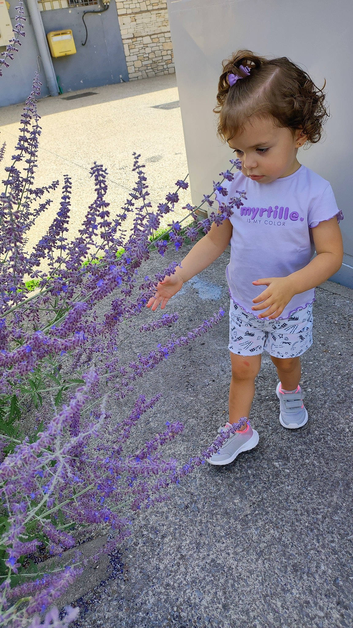 Elena participe au concours pour gagner de l'argent avec cette photo : annual_plant, baby_toddler_clothing, electric_blue, flower, flowering_plant, grass, groundcover, happy, herbaceous_plant, lavender, pattern, people_in_nature, person, plant, purple, sandal, shorts, shrub, spring, subshrub