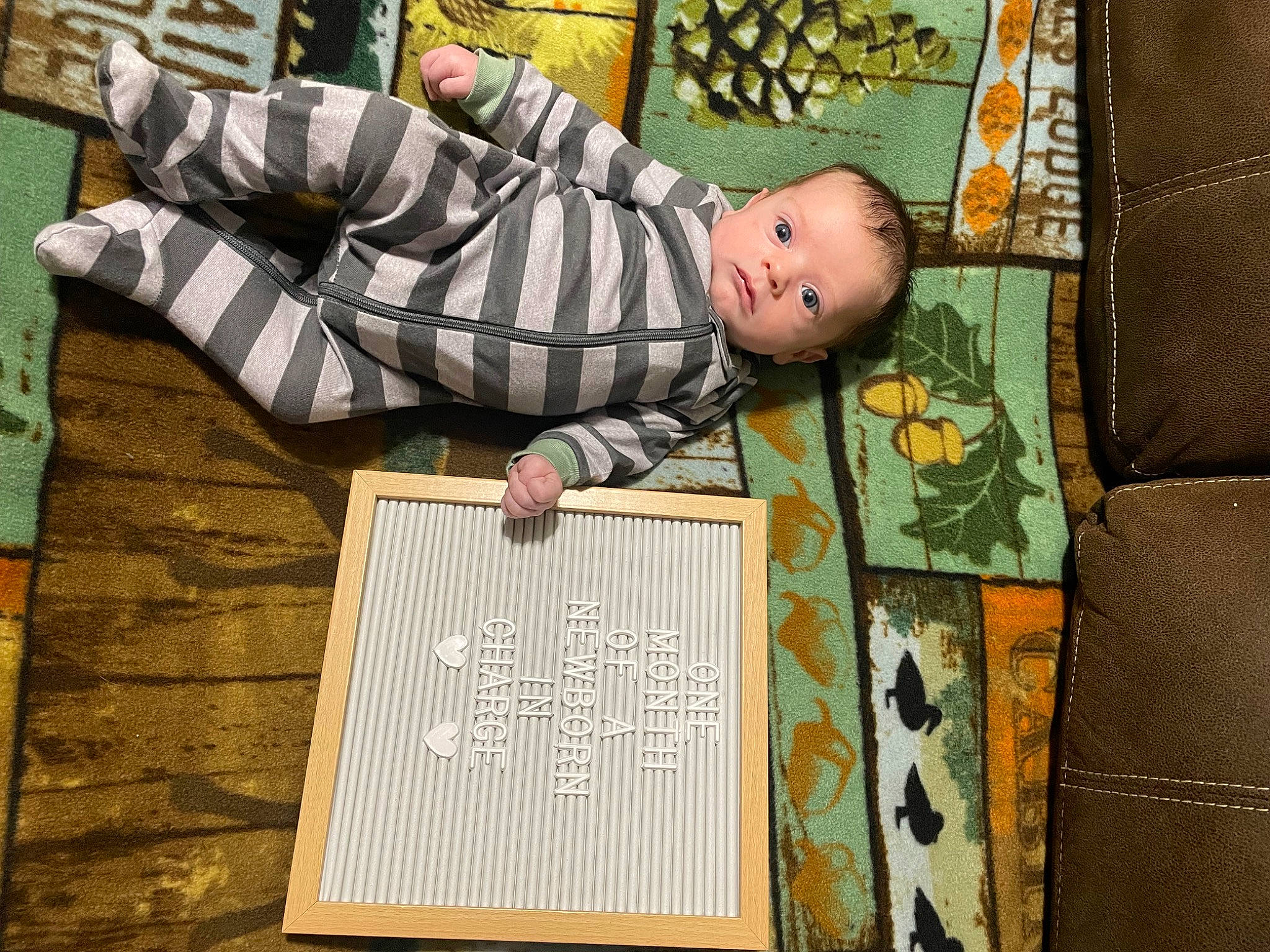 Hunter joined the competition — help win amazing prizes! art, baby, baby_products, baby_safety, baby_toddler_clothing, brown, child, comfort, couch, flooring, font, hardwood, linens, pattern, person, room, textile, toddler, tree, wood