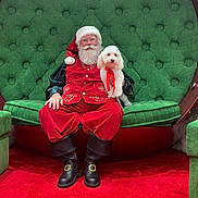 Bruno is registered to the contest to win money with this photo: santa_claus, dog, white_dog, red_ribbon, green_chair, plush_furniture, red_carpet, holiday, festive, beard, glasses, boots, costume, seated, smiling, indoors, portrait, celebration, christmas, pet