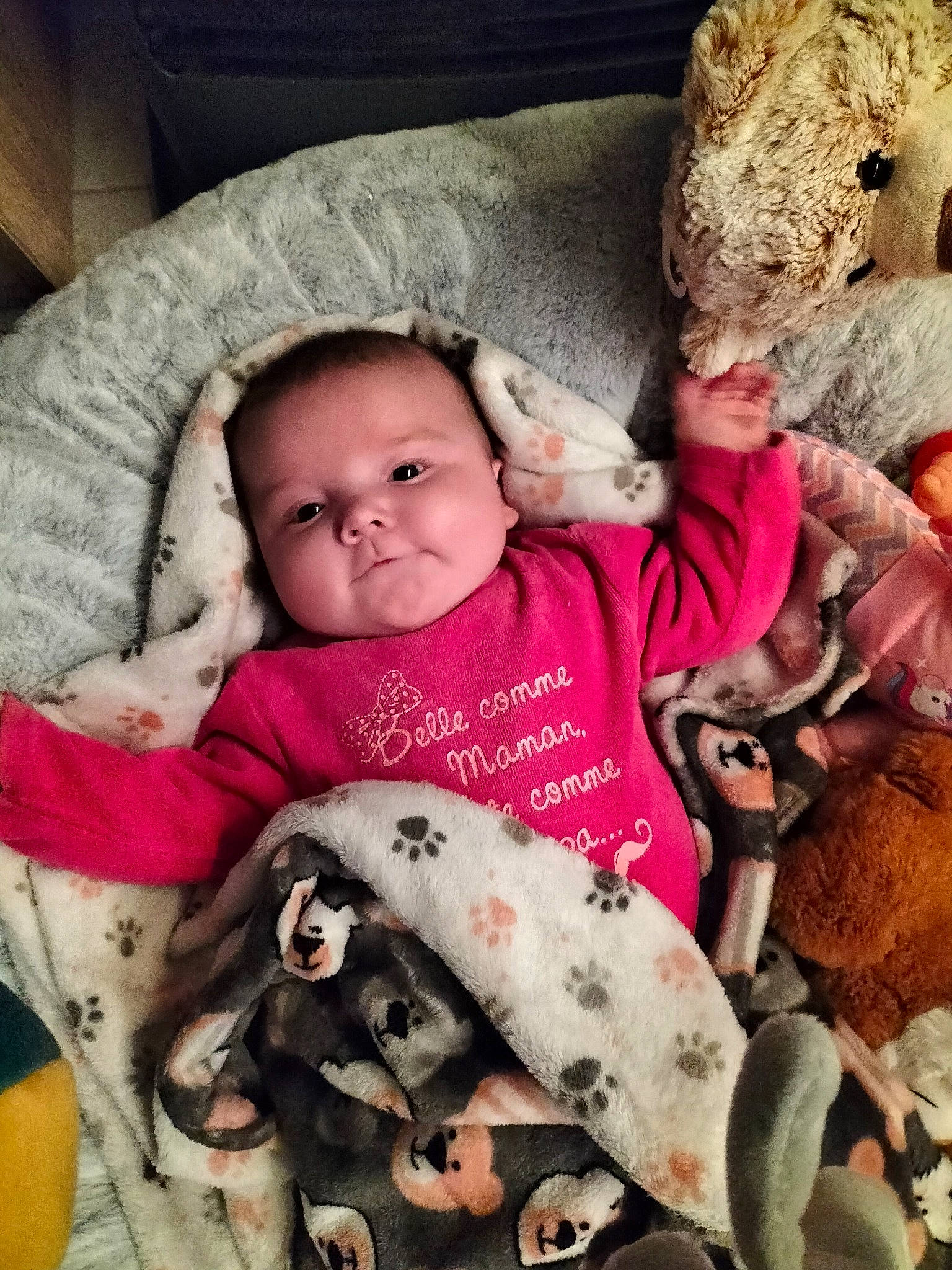 Mary a rejoint le concours — aidez-le/la à gagner de superbes lots ! baby, baby_toddler_clothing, child, comfort, eye, fawn, fur, happy, head, linens, livestock, mammal, organ, person, sheep, sitting, skin, t_shirt, textile, toddler