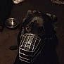 dog, muzzle, metal_bowl, indoor, dark_lighting, black_dog, small_dog, resting, floor, furniture, pet, animal, canine, muzzle_dog, looking_up, quiet, companion, household, domestic, relaxed