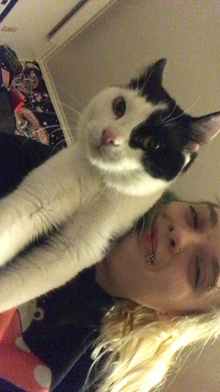 Penguin is registered to the contest to win money with this photo: carnivore, cat, comfort, domestic_short_haired_cat, ear, eyebrow, felidae, flooring, fur, happy, human_body, iris, jaw, nose, paw, selfie, small_to_medium_sized_cats, snout, tail, whiskers