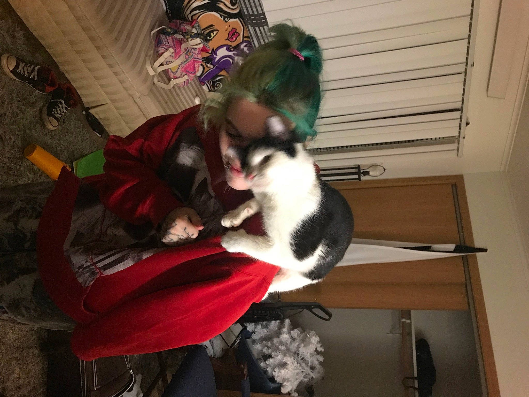 Penguin is registered to the contest to win money with this photo: canidae, carmine, carnivore, cat, comfort, companion_dog, dog_breed, domestic_short_haired_cat, fawn, felidae, flooring, fur, hardwood, lap, magenta, paw, room, small_to_medium_sized_cats, tail, whiskers