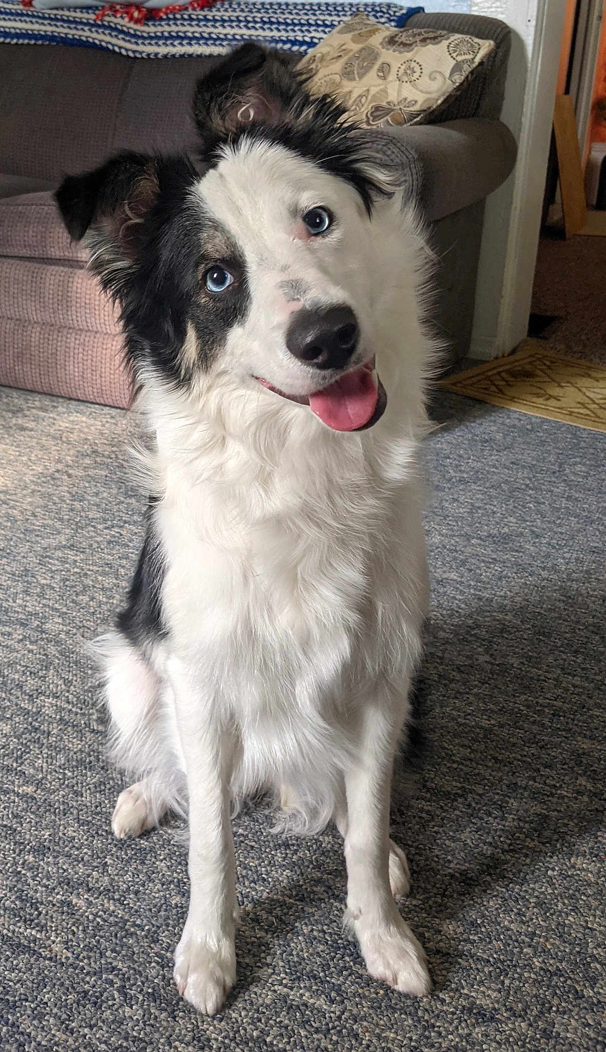 Remi