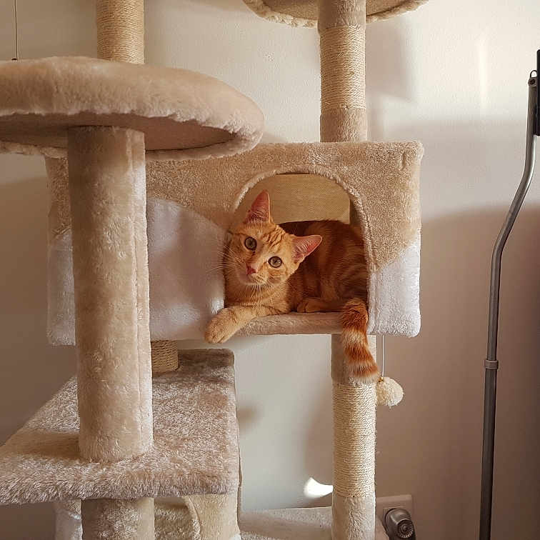 Marley