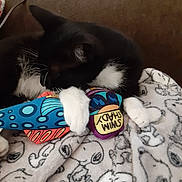 Trap is registered to the contest to win money with this photo: black_and_white_cat, blanket, cat, close_up, colorful_toy, couch, cozy, fish_toy, household, indoor, napping, paws, pet, plush, resting, sleeping, snoopy_blanket, toy, tuxedo_cat, whiskers
