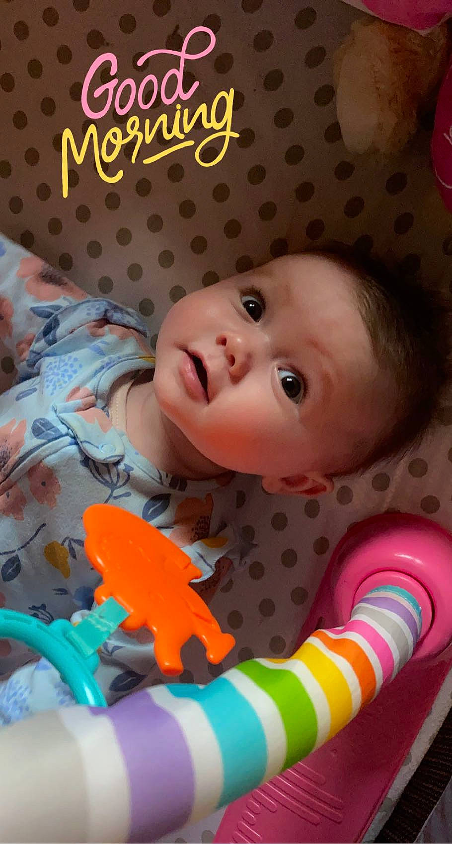 Andi is registered to the contest to win money with this photo: baby, baby_playing_with_toys, baby_products, baby_toddler_clothing, cheek, child, eye, face, fun, happy, head, iris, lip, mouth, nose, person, pink, red, skin, textile