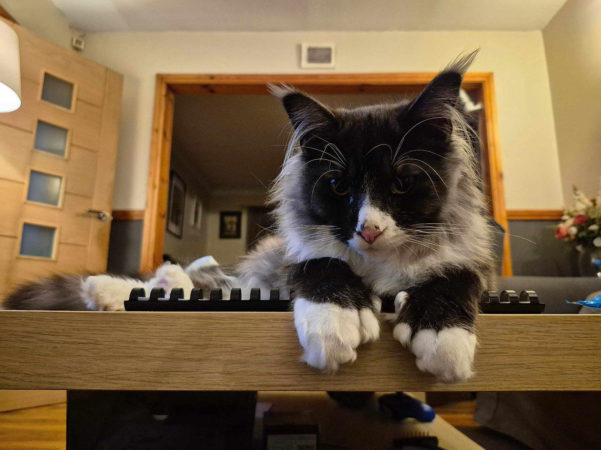 Sylvester