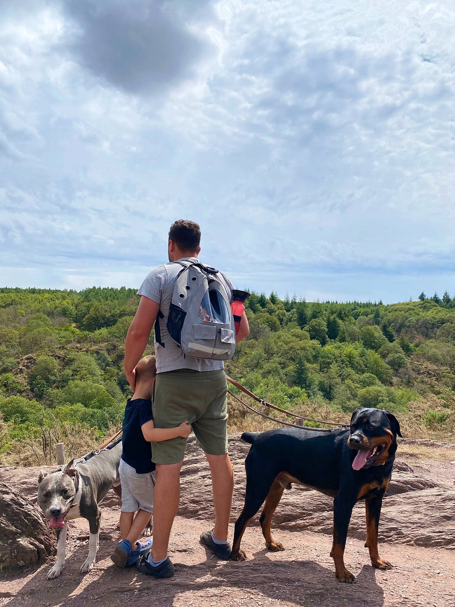 Kayson a rejoint le concours — aidez-le/la à gagner de superbes lots ! backpack, bag, carnivore, cloud, dog, dog_breed, fawn, fun, landscape, leg, leisure, luggage_and_bags, mammal, plant, recreation, shorts, sky, t_shirt, travel, working_animal