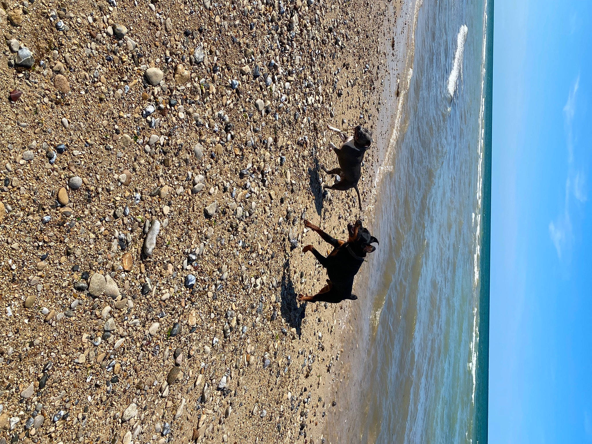 Kayson participe au concours pour gagner de l'argent avec cette photo : asphalt, beach, cloud, concrete, electric_blue, extreme_sport, landscape, ocean, reflection, road_surface, rock, sand, shadow, sky, soil, tar, tints_and_shades, water, wind_wave, wood