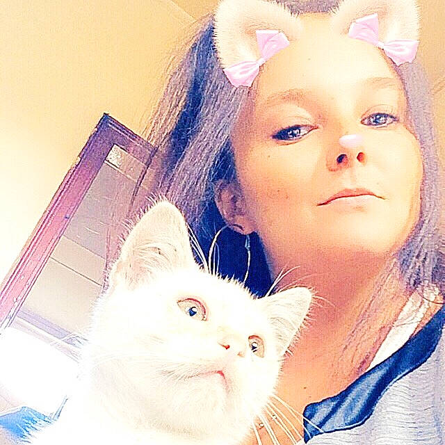 Bébé participe au concours pour gagner de l'argent avec cette photo : beauty, blond, cat, cheek, ear, eye, face, felidae, fur, hair, head, nose, organ, person, selfie, skin, small_to_medium_sized_cats, turkish_angora, turkish_van, whiskers