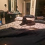Darkness is registered to the contest to win money with this photo: animal, bed, bedspread, black_cat, cat, cozy, curtains, decor, door, dresser, fan, floor, furniture, indoor, mirror, pet, photograph, pillow, room, wall