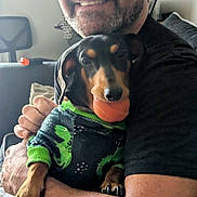 Poptart is registered to the contest to win money with this photo: man, dog, glasses, sweater, dinosaur_print, ball, indoor, smiling, embrace, pet, couch, furniture, happy, casual, beard, short_hair, black_shirt, paw, toy, close_up