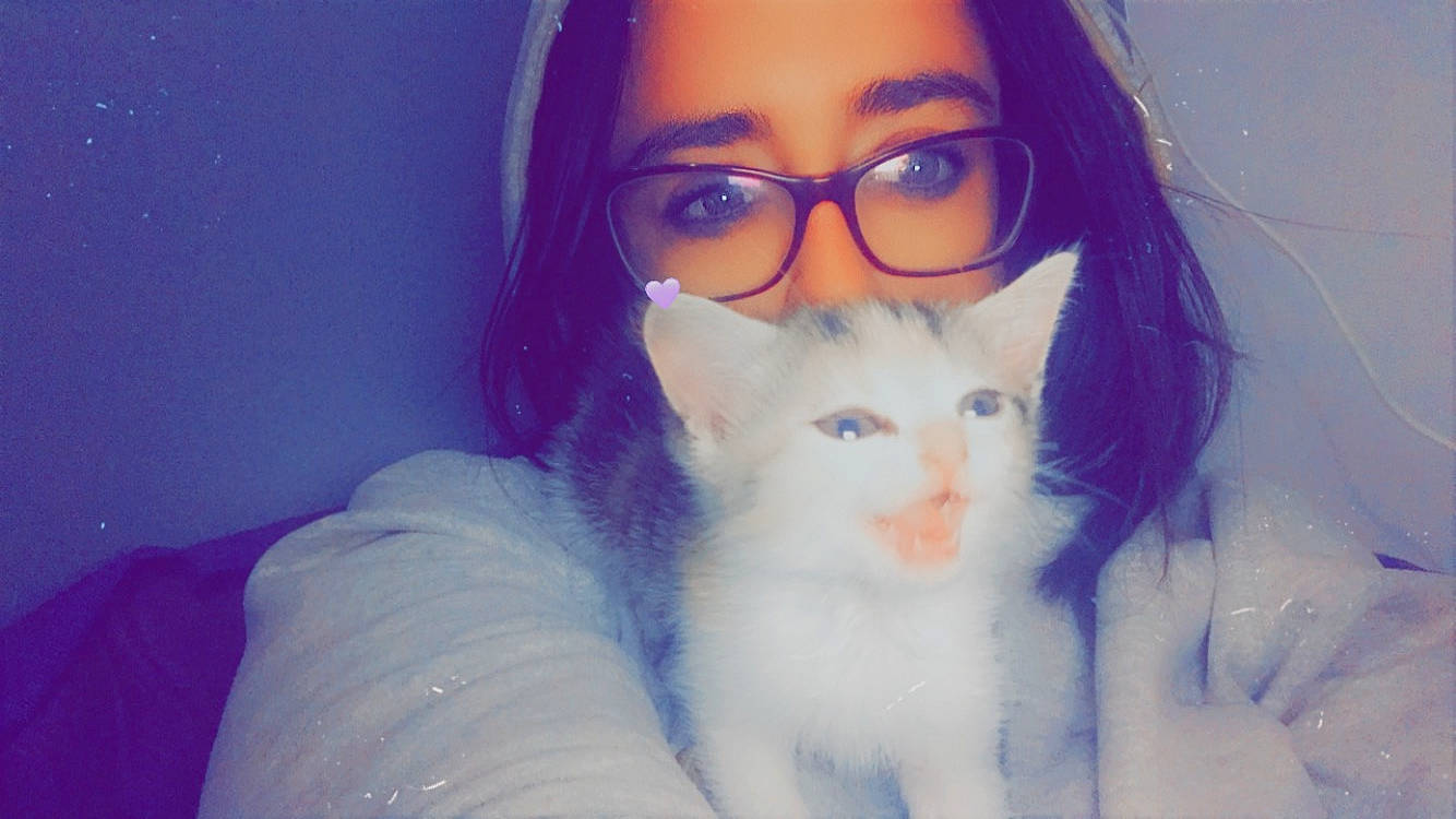 Praline a rejoint le concours — aidez-le/la à gagner de superbes lots ! cat, ear, eye, eyebrow, eyewear, face, felidae, forehead, fur, glasses, hair, head, kitten, long_hair, nose, selfie, skin, small_to_medium_sized_cats, turkish_van, whiskers