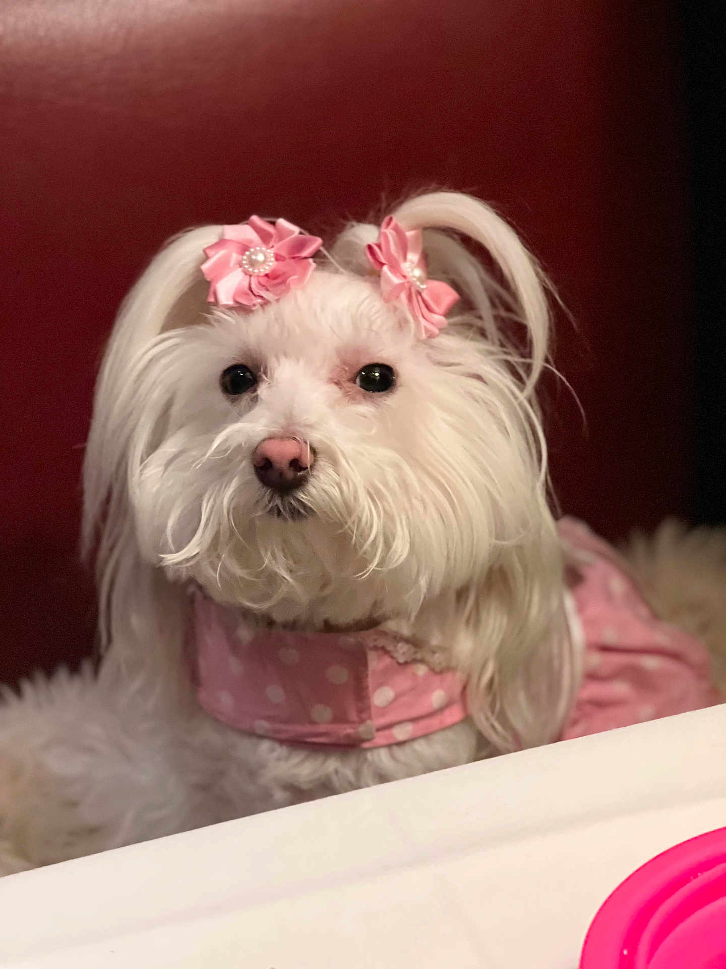 Princess Bella