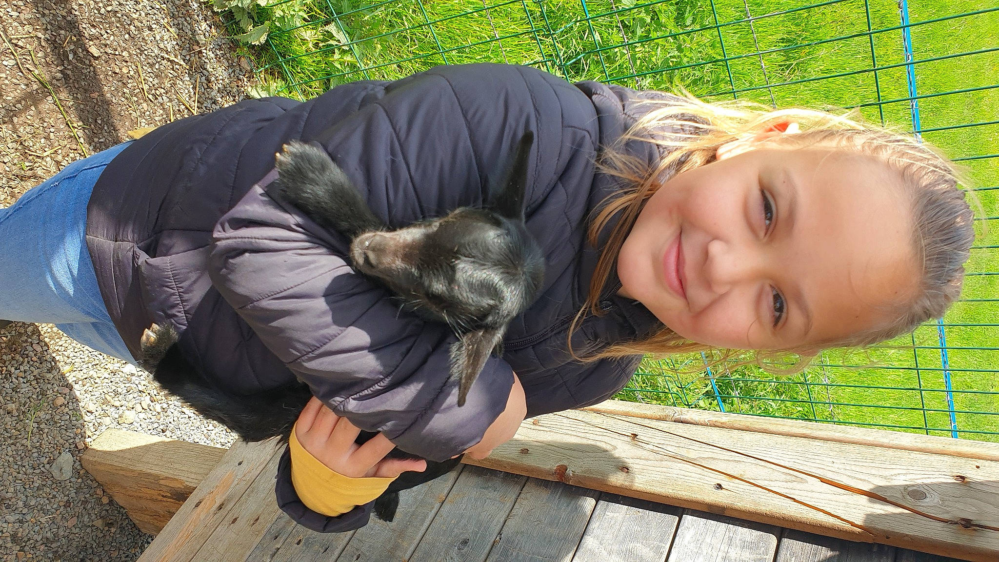 Elana a rejoint le concours — aidez-le/la à gagner de superbes lots ! canidae, carnivore, cat, companion_dog, dog_breed, felidae, fence, fur, grass, happy, joy, leisure, people_in_nature, person, sitting, small_to_medium_sized_cats, smile, sporting_group, terrestrial_animal, whiskers