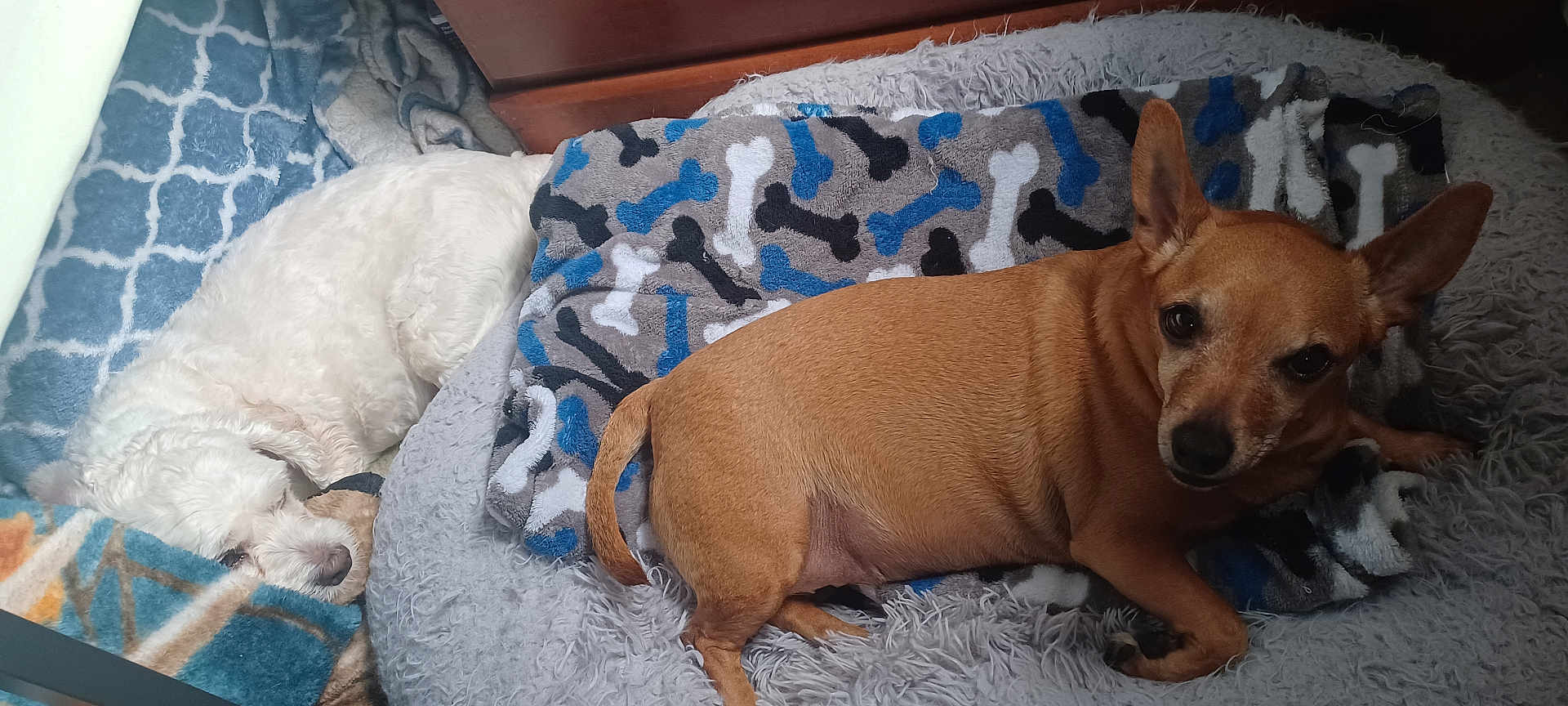 Winnie