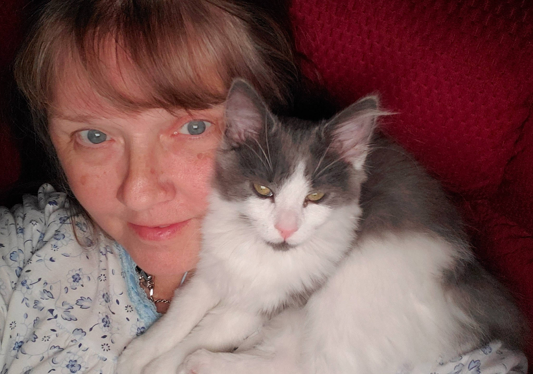 Bobbi joined the competition — help win amazing prizes! carnivore, cat, comfort, domestic_short_haired_cat, ear, eye, eyebrow, fawn, felidae, formal_wear, fur, gesture, hug, iris, lap, nose, paw, sitting, small_to_medium_sized_cats, whiskers