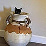 black_cat, kitten, pottery, decorative_pot, shadow, indoor, wall, wooden_floor, curious, peeking, animal, pet, small_cat, ears, texture, home, floor, playful, cute, container