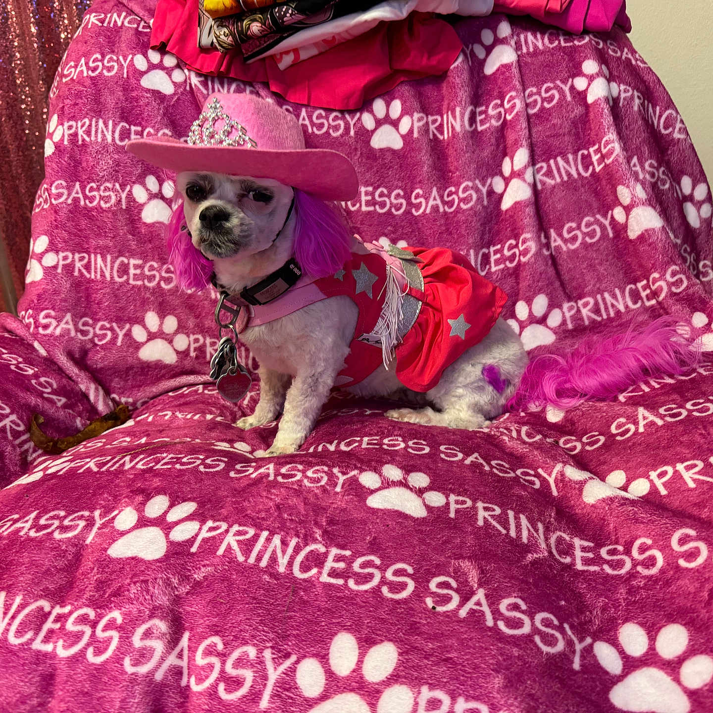 Princess