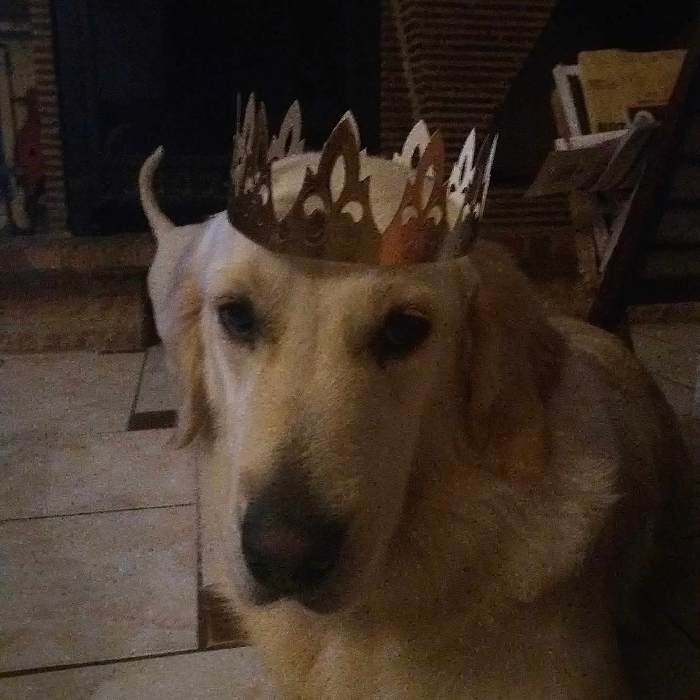Lady