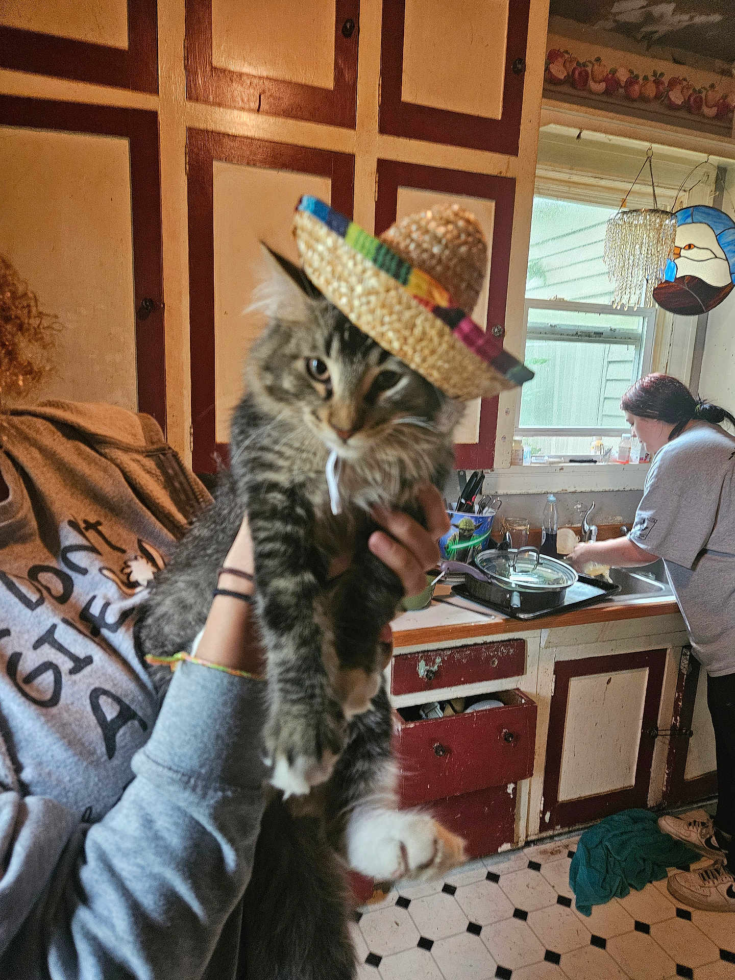 Wicket is registered to the contest to win money with this photo: cat, tabby_cat, sombrero, hat, person, kitchen, indoor, window, cabinet, sink, washing_dishes, floor, tile_floor, hand, clothing, casual, domestic, feline, pet, holding