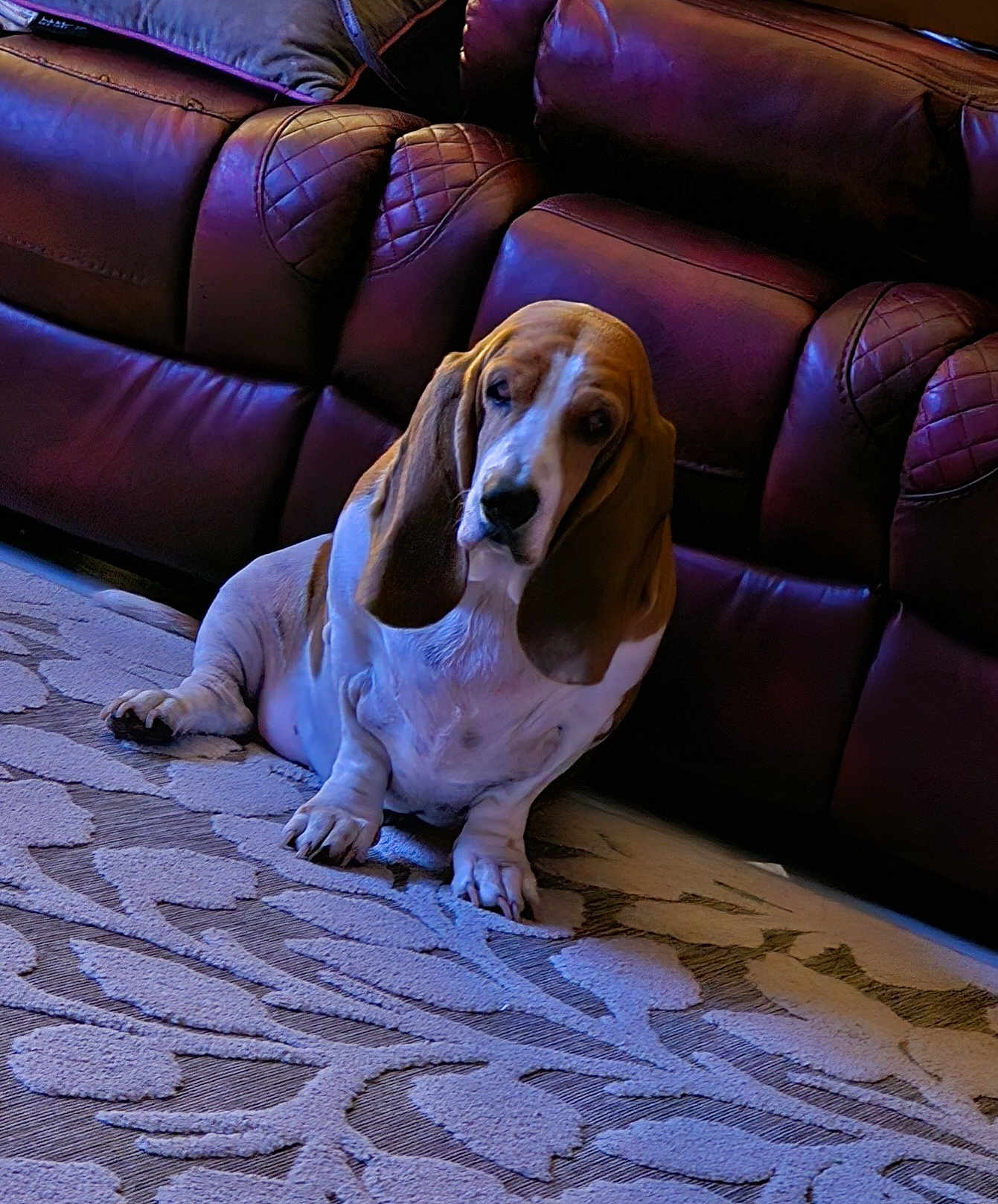 Penelope