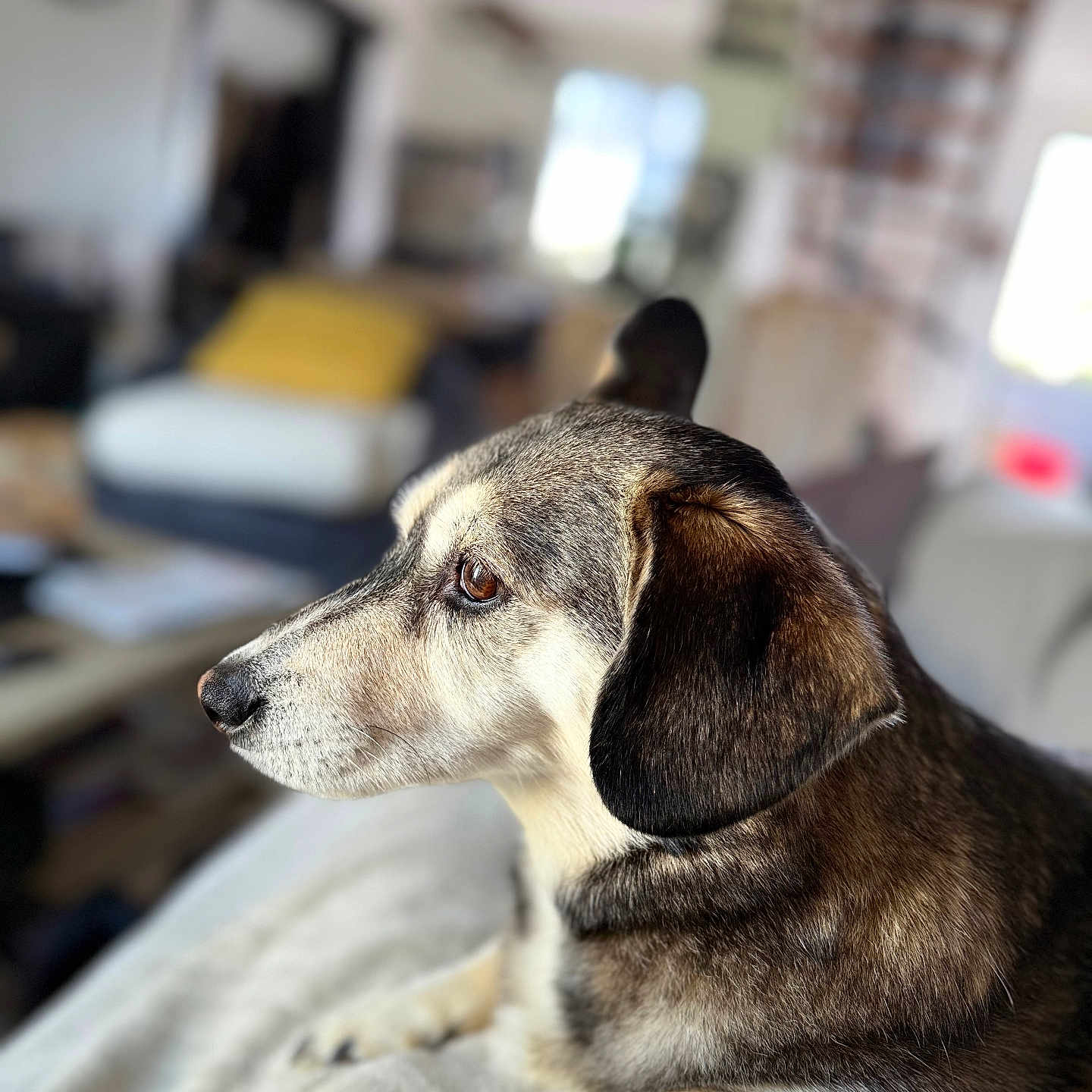 Nallah