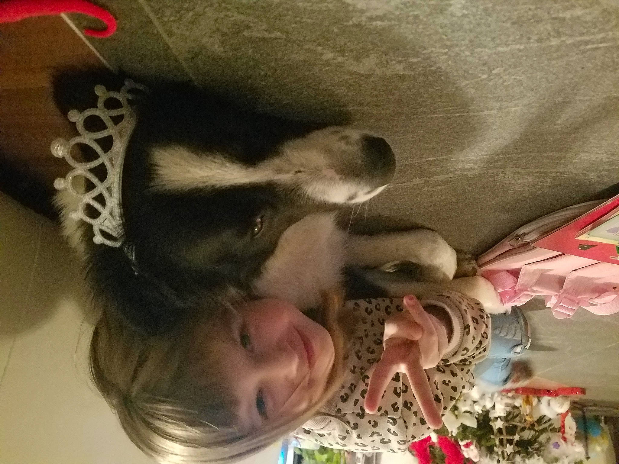 Fury participe au concours pour gagner de l'argent avec cette photo : beard, comfort, companion_dog, eye, eyewear, flesh, fun, fur, gesture, glasses, happy, head, mammal, mouth, organ, smile, snapshot, sunglasses, tree, vertebrate