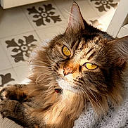 Sursha participe au concours pour gagner de l'argent avec cette photo :