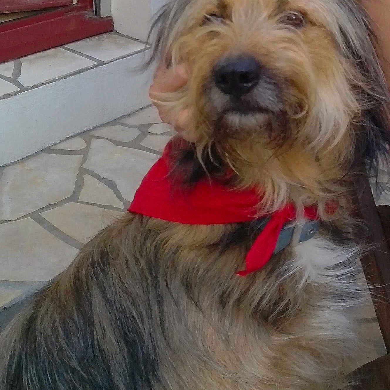 ARTHUR