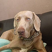 Hyppi participe au concours pour gagner de l'argent avec cette photo :