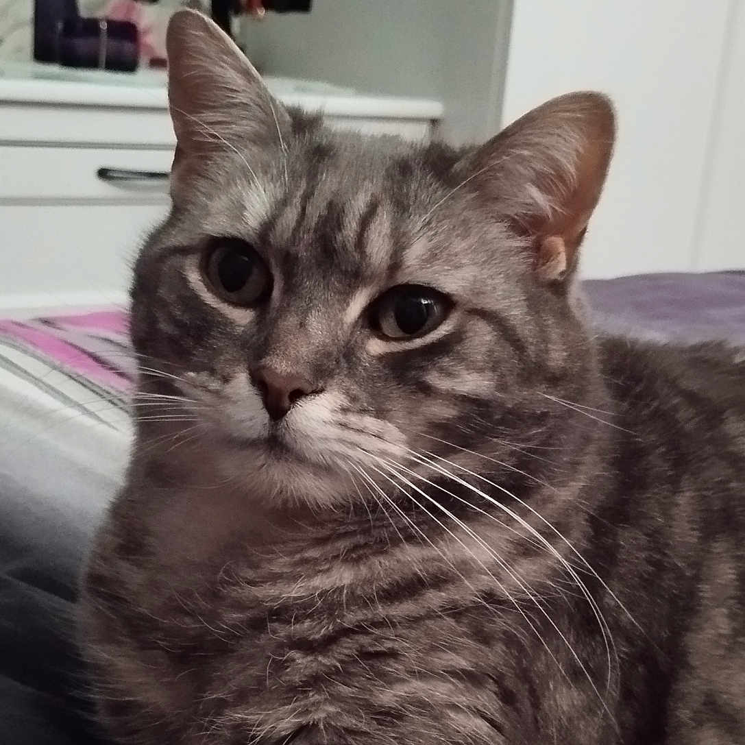 Mayki