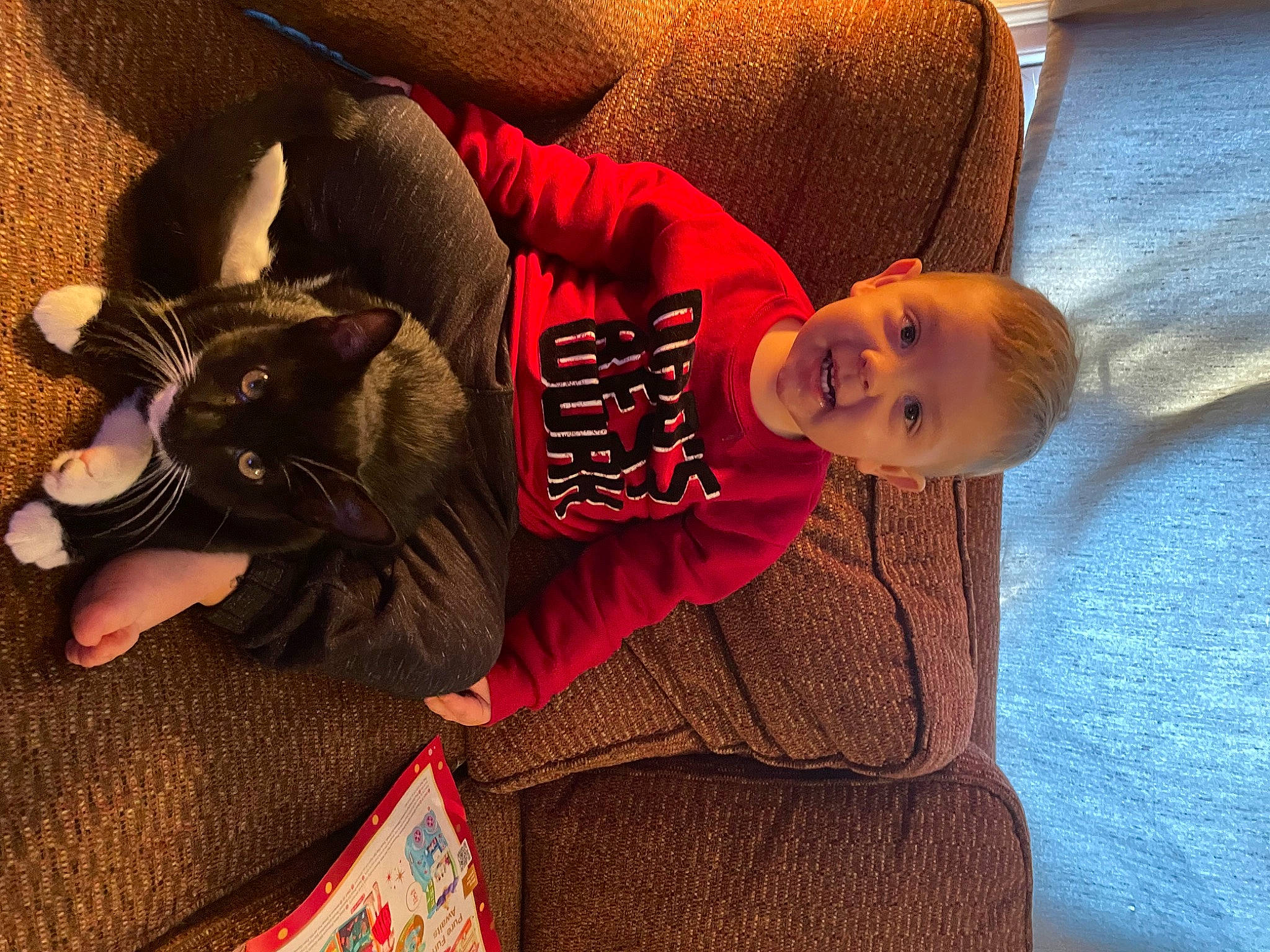 Kaison is registered to the contest to win money with this photo: baby, carmine, cat, comfort, companion_dog, felidae, flooring, fun, fur, human_leg, lap, linens, mammal, person, sitting, small_to_medium_sized_cats, tail, thigh, toddler, vertebrate