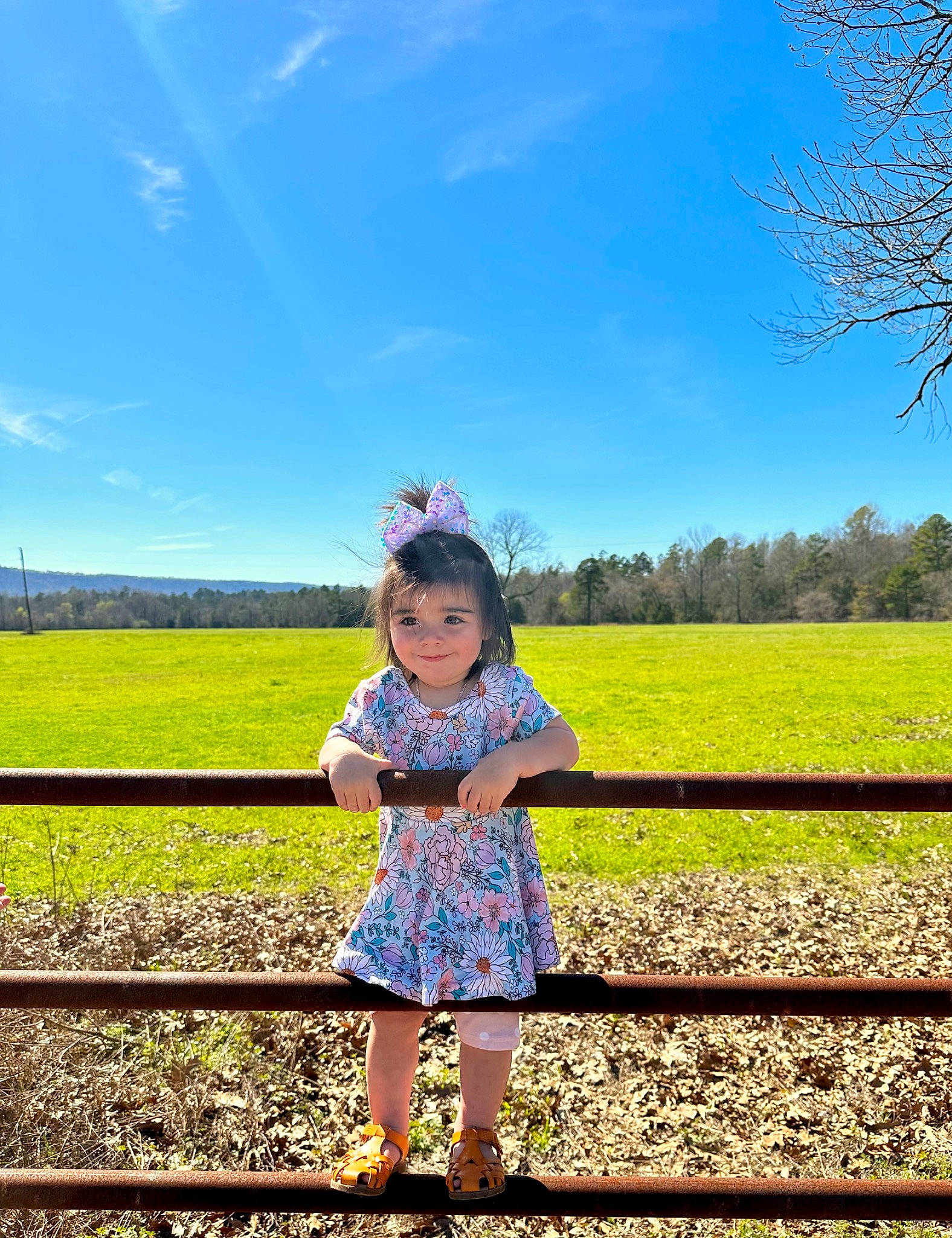 Brexley is registered to the contest to win money with this photo: baby_toddler_clothing, cloud, grass, grassland, happy, horizon, joy, landscape, leisure, meadow, natural_landscape, nature, people_in_nature, person, plain, plant, sky, standing, summer, sunlight