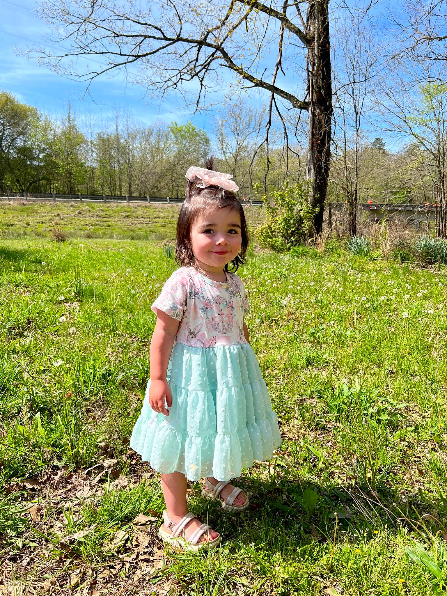 Brexley joined the competition — help win amazing prizes! baby_toddler_clothing, child, day_dress, dress, grass, grassland, happy, joy, landscape, leaf, meadow, natural_landscape, one_piece_garment, pattern, people_in_nature, person, plant, prairie, sky, sleeve