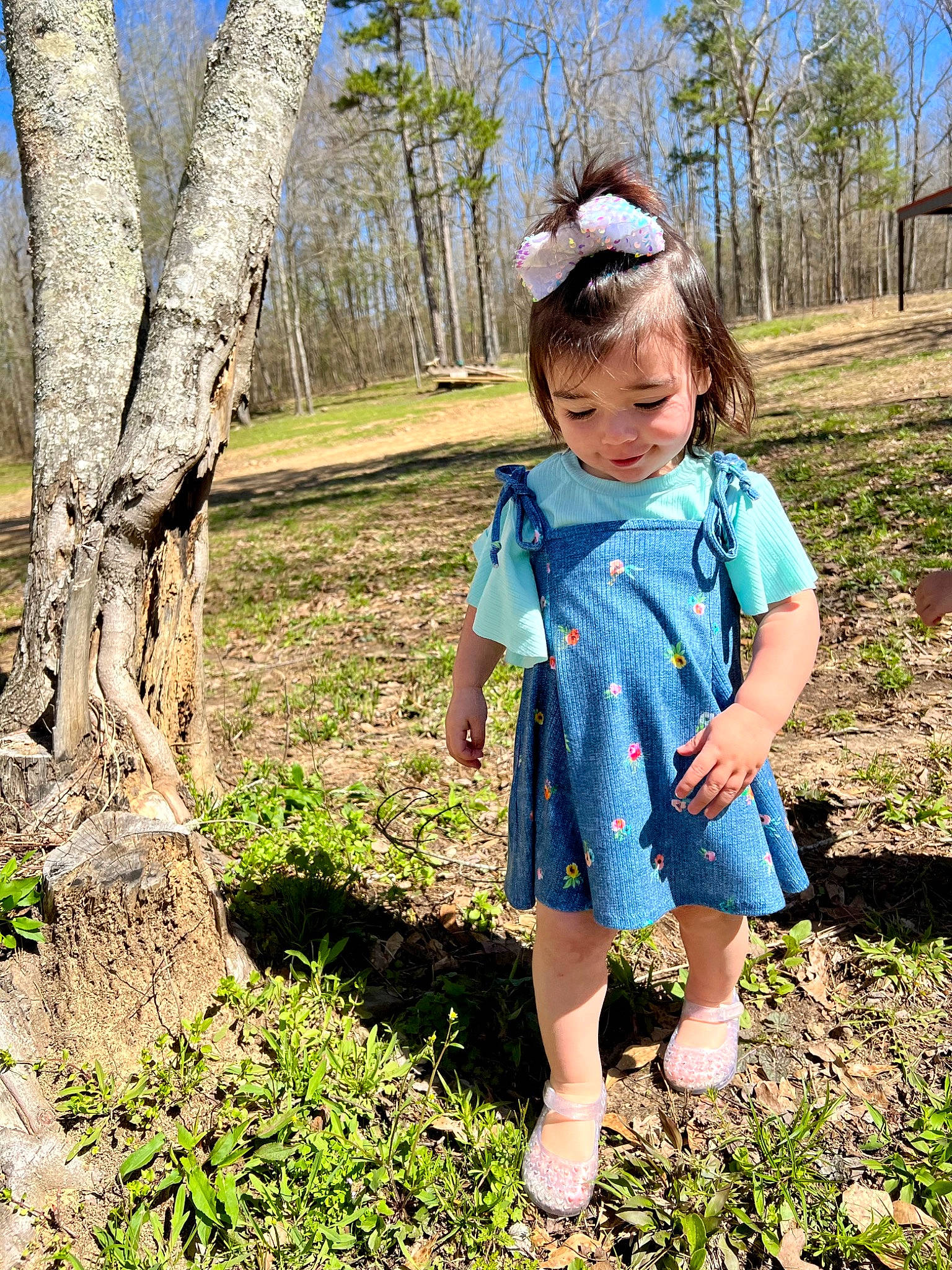 Brexley is registered to the contest to win money with this photo: adaptation, botany, fun, grass, grass_family, grassland, happy, landscape, leaf, leg, leisure, natural_environment, people_in_nature, person, plant, sky, standing, toddler, tree, trunk